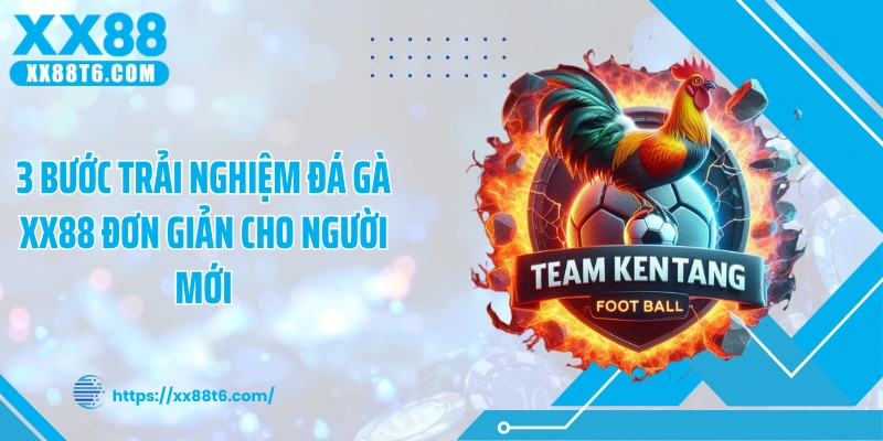 3 bước trải nghiệm đá gà XX88 đơn giản cho người mới