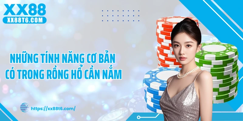 Những tính năng cơ bản có trong rồng hổ cần nắm