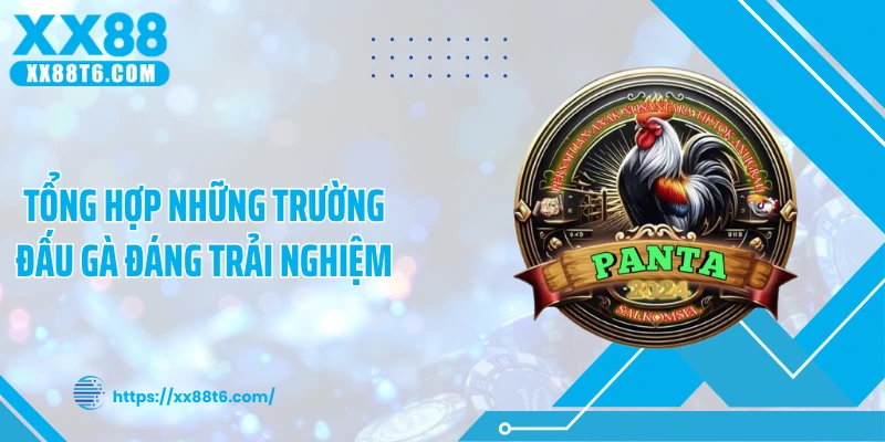 Tổng hợp những trường đấu gà đáng trải nghiệm